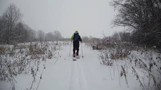 Путешествие до Борисо-Глебского городища. ПВД. Лыжный поход.