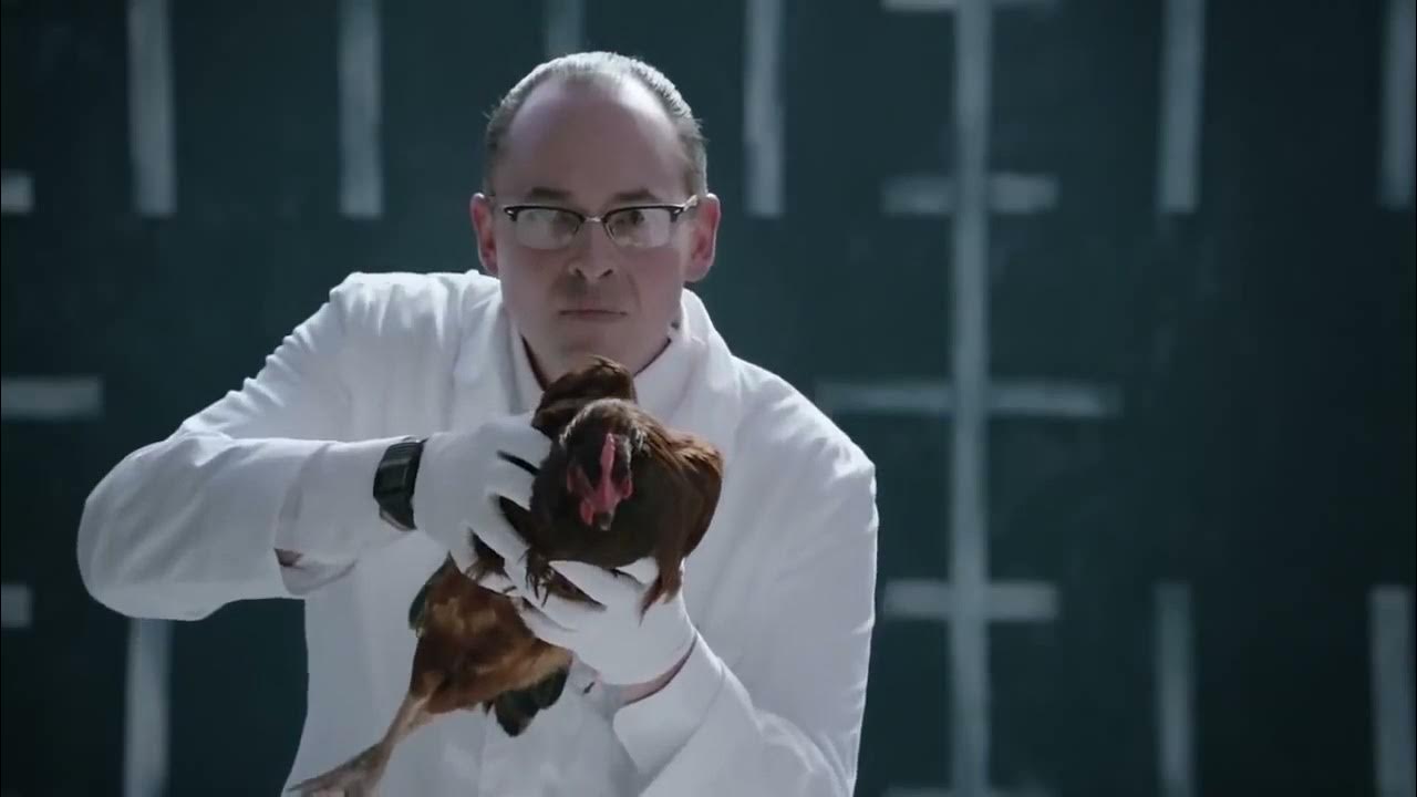 Реклама мерседес с курицей. Mercedes-Benz “Chicken” Magic body Control.
