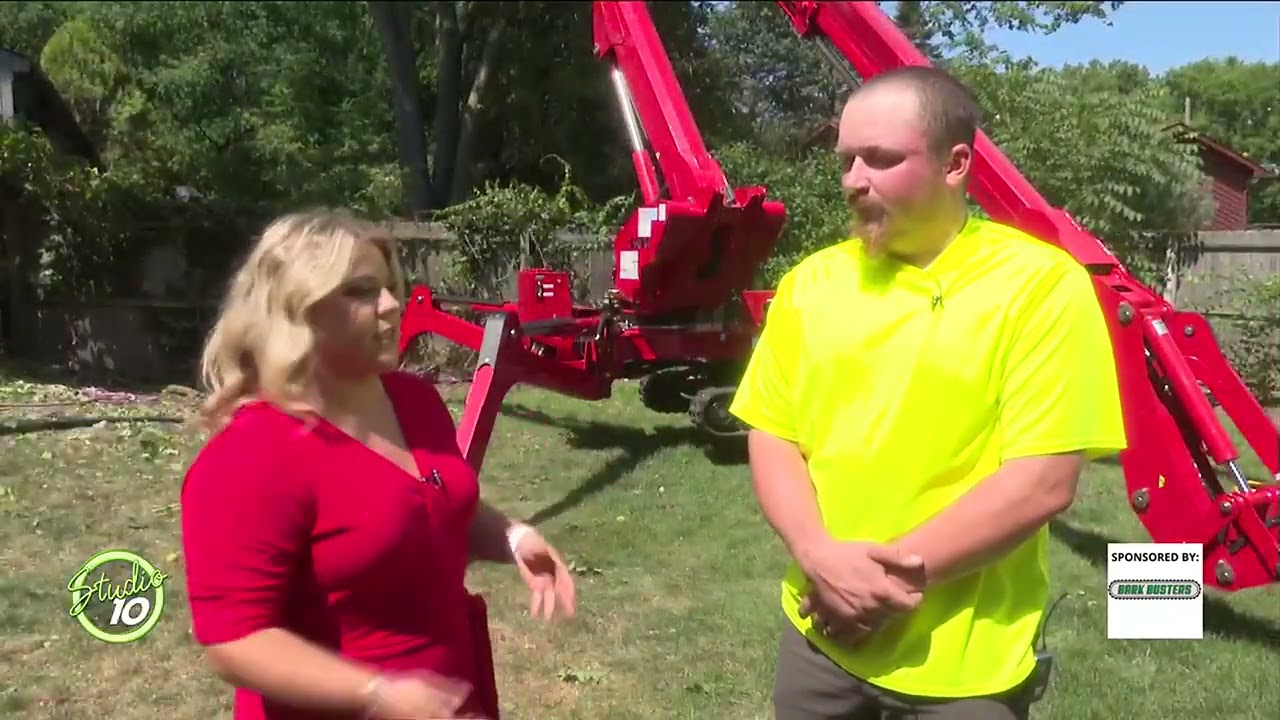 Bark Busters offers a range of tree services