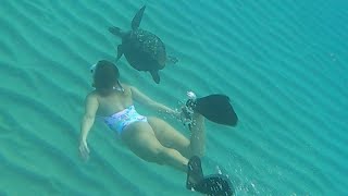 Woman Swims With Friendly Sea Turtle