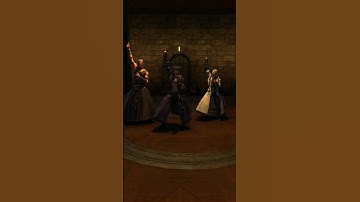 Your Wrong #ff14 #ff14meme #ffxiv #ffxivmeme #gaming #modded #mods #rpg #womenneverwrong #parodysong