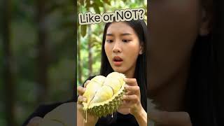 Juicy Durian Taste Test – Love It or Hate It?! 😲🍈 #shorts #shortvideo #asmr #usa #india#durian