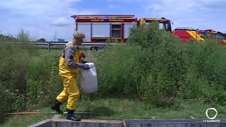 Corpo de Bombeiros resgatam animal selvagem