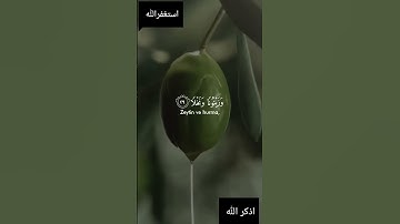 فلينظر الانسان الى طعامه 🍃 ايات من سورة عبس