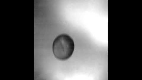 The rebound of a viscoelastic particle