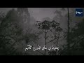 أبكيك لو نقع الغليل بكائي الشريف الرضي أبكيك لو نقع الغليل بكائي الشريف الرضي
