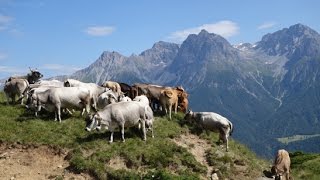 Estive De Scuol Grisons