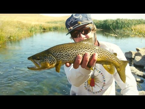 Video: Montana Rocky Mountain Front - Matadori Võrgu Lugu