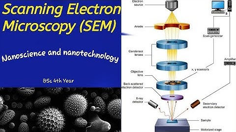 Scanning Electron Microscopy (SEM)... Nanoscience and Nanomaterials...@G.T.ScienceTutorial