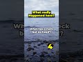 What has a neck but no head?...#logicpuzzles #quiztime #viralriddles #braingame #education