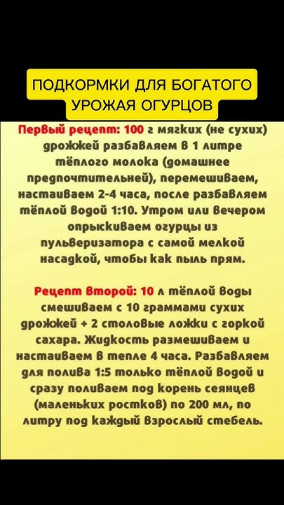 #советы #дача #огород - YouTube