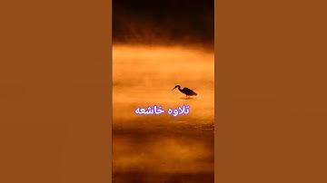 #سورة #القران_الكريم #الفاتحة #تلاوات_خاشعة #quran #آية #explore #قرآن #qs #تلاوة