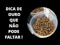 Dica de ouro que não pode faltar ;