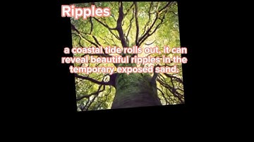 Geometric Pattern that can be Found in Nature