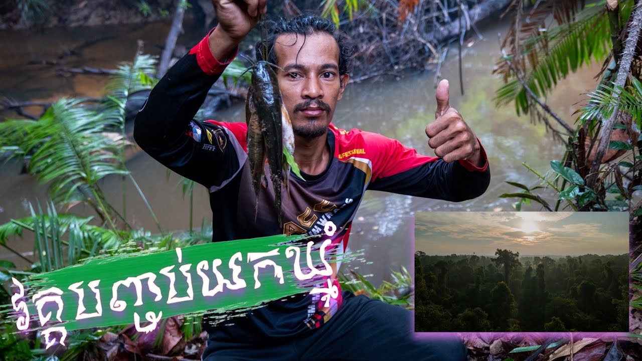 Wild Honey Harvesting  វគ្គ2រកត្រីរកឃ្មុំព្រៃ episode 137