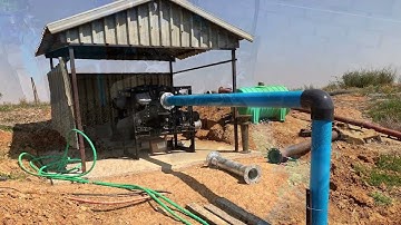 AlphaDisc™ celebrates one year in Southern Africa.