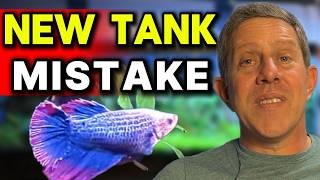 New Fish Tank Failing? Here’s How to Fix It Fast