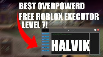 Free Roblox Executor (Halvik) Level 7 Executor, Owl Hub Support, Script Hub & Very Stable!