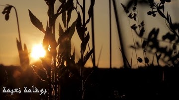 آيات بينات من سورة فصلت ( ورش )