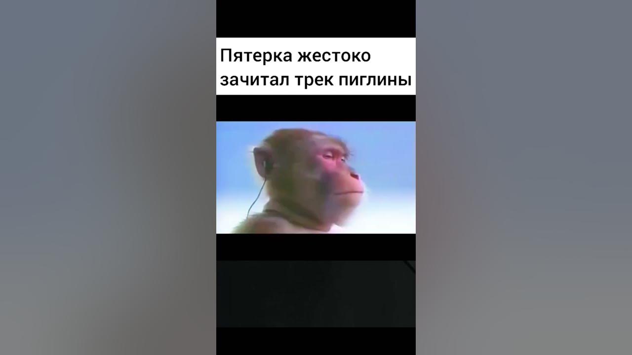 Почему пятерка мем года