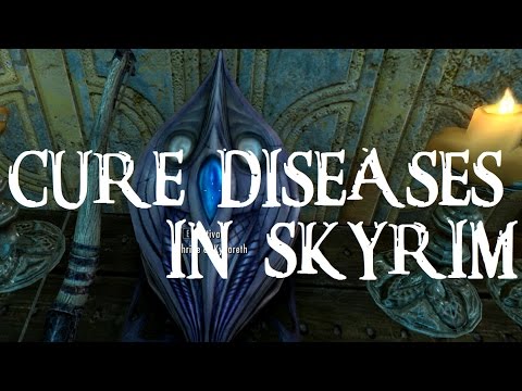 Skyrim: SE -
