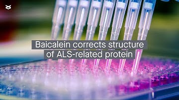 Fixing misfolded disease-causing proteins with a plant-derived compound