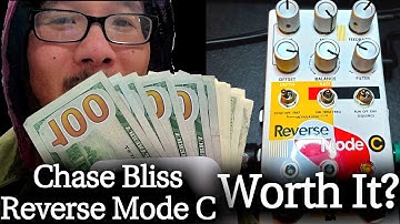 Is Chase Bliss Reverse Mode C Worth It?