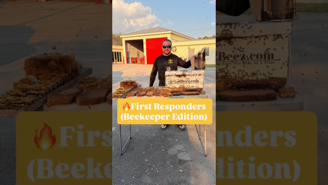 Bee Removal from a Tough Spot video thumbnail
