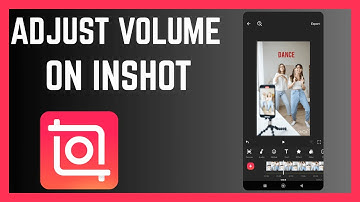 How To Adjust Audio Volume On InShot Video Editor