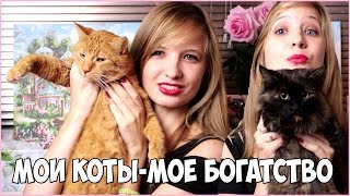 МОИ ДОМАШНИЕ ЖИВОТНЫЕ: УХОД,ХАРАКТЕР,ПРИВЫЧКИ МОИ ДОМАШНИЕ ЖИВОТНЫЕ: УХОД,ХАРАКТЕР,ПРИВЫЧКИ