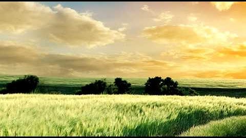 hosting cod4 modded lobbies ps3!