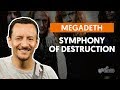 Symphony Of Destruction - Megadeth (aula de baixo)