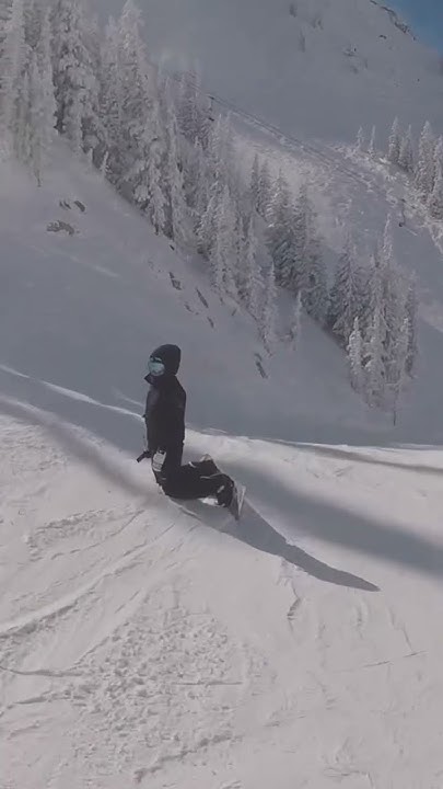 snowbird-top-speed-36-mph-snowbird-snowboard-snow-speed-fast