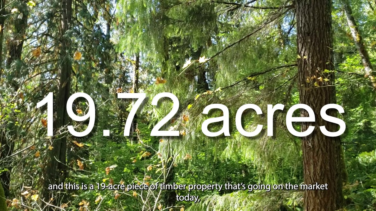 *NEW LISTING* - Ashford WA - 19.72 acres Forestry & Timber near Mount Rainier