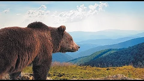 Quanto costa una casa in Alaska?