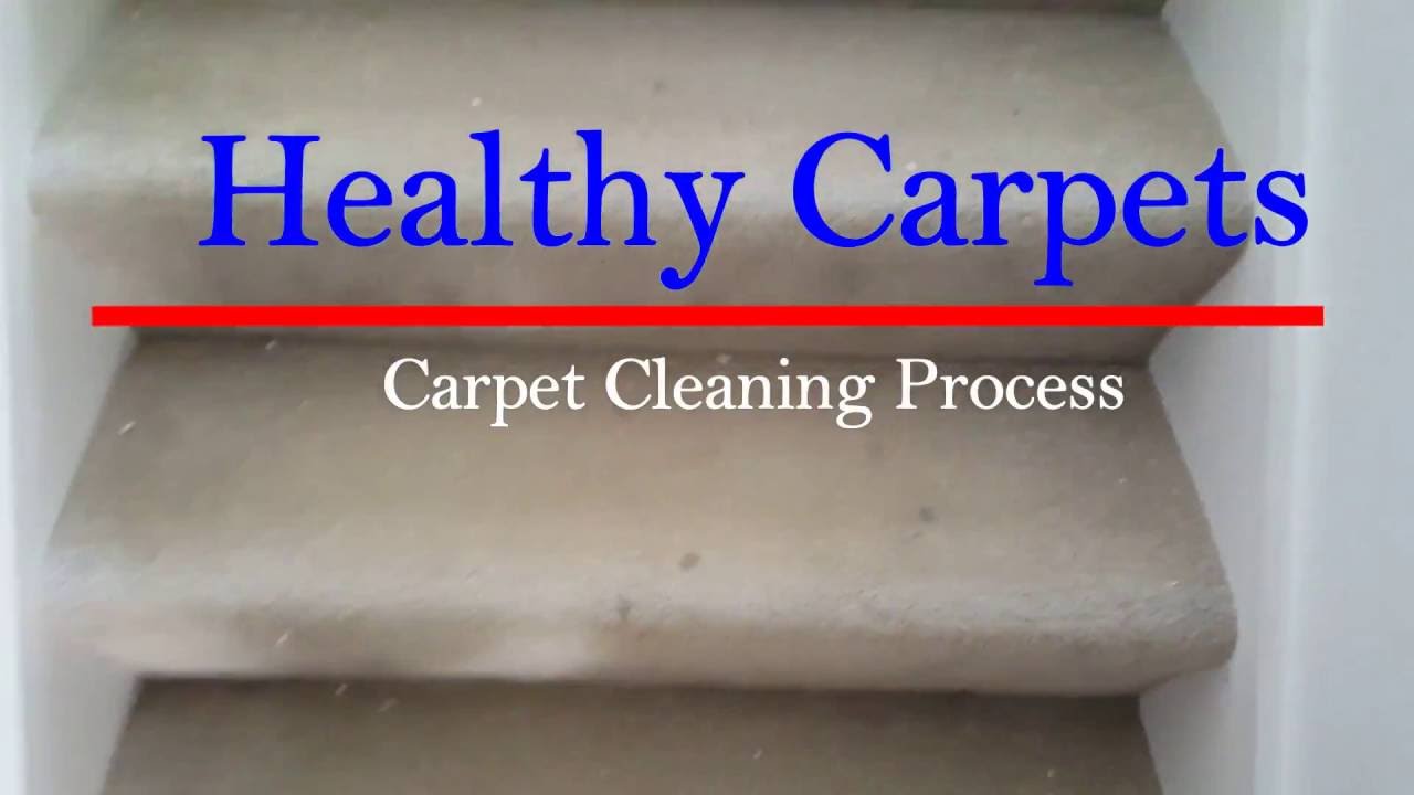 Best Carpet Cleaning Process In Ann Arbor Michigan YouTube