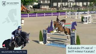 Baloutaire PS out of 1m55 winner Granate!