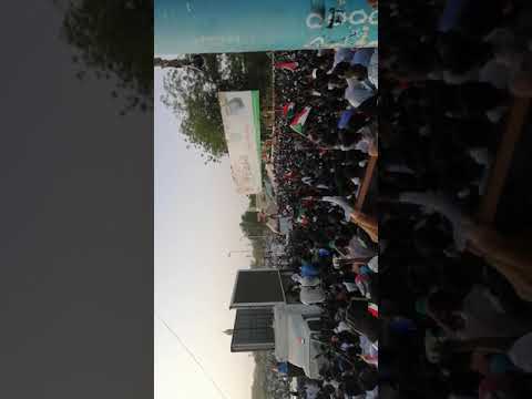رصاصه حيه