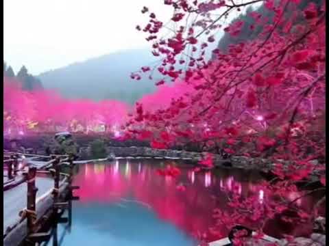 ما تيسر من سورة الحجر القارئ الشيخ عمير شميم