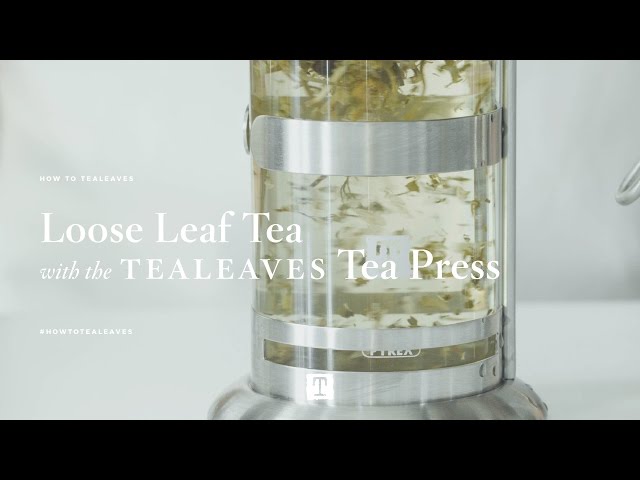 Glass and Beechwood Loose Leaf Tea Press