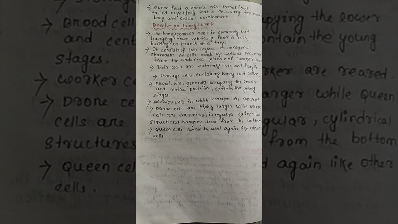 SOCIAL BEHAVIOR IN HONEY Bee . VERY Easy complete notes👍👍