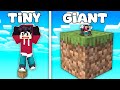 One giant block vs one tiny block in minecraft tagalog