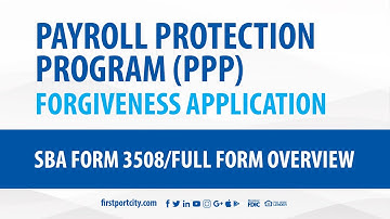 8  PPP App Process - Application Form 3508 Overview