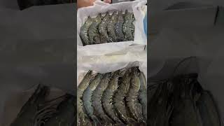 How to process blast freezer seafood #prawns #seafood #shorts #live #viral #travel #short #top #kl