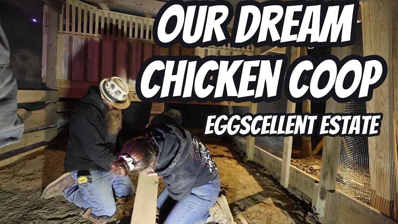 Chicken Coop Build In The Barn - DId We Make It? - YouTube