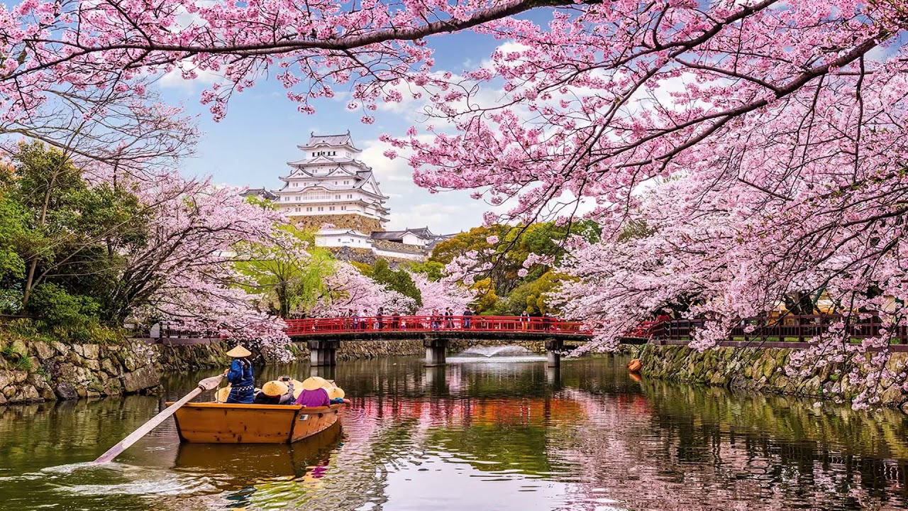 Flower world, beautiful world (HD1080p) - YouTube