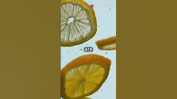Why Lemons Float but Limes Sink!