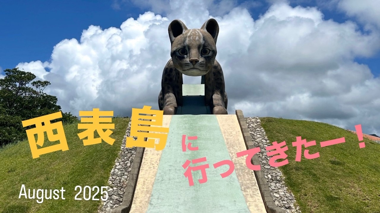 【vlog】リュック１つで西表島ノープラン旅✈🎒