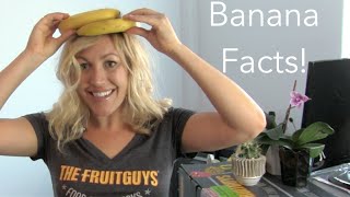 The Mind Blowing Banana Facts - The FruitGuys