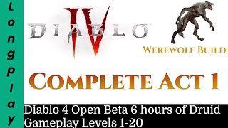 Famous Diablo 4 Open Beta 6 hours Druid Longplay No Commentary Profile